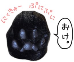 My cat Sticker. sticker #13559900