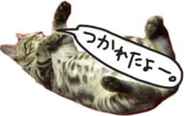 My cat Sticker. sticker #13559916