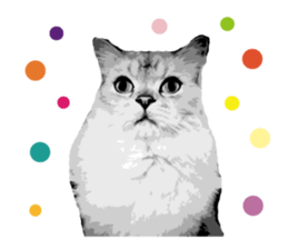 my sweet real cat sticker #13560446