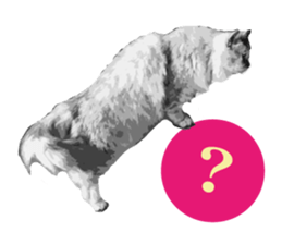 my sweet real cat sticker #13560447