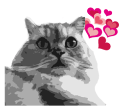 my sweet real cat sticker #13560449