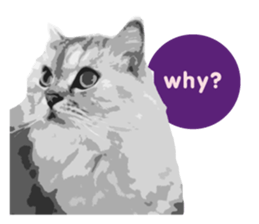 my sweet real cat sticker #13560450