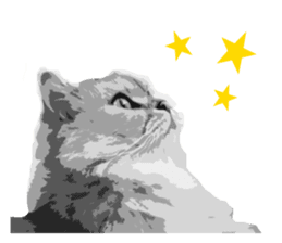 my sweet real cat sticker #13560451