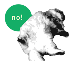 my sweet real cat sticker #13560453