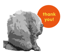 my sweet real cat sticker #13560456