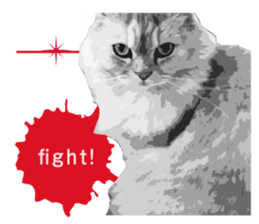 my sweet real cat sticker #13560458