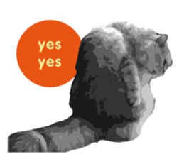 my sweet real cat sticker #13560464