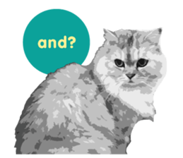 my sweet real cat sticker #13560467