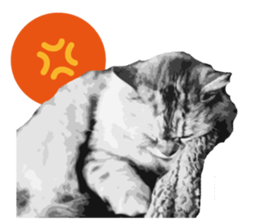 my sweet real cat sticker #13560468