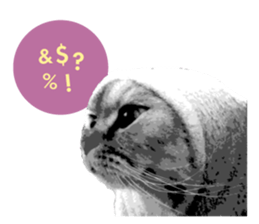 my sweet real cat sticker #13560469