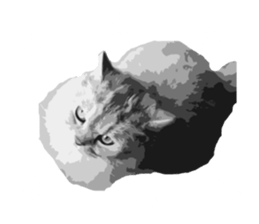 my sweet real cat sticker #13560473