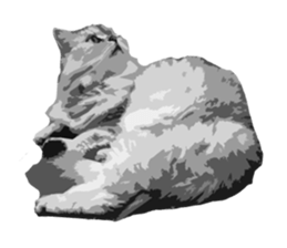 my sweet real cat sticker #13560474