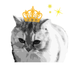 my sweet real cat sticker #13560475