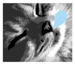 my sweet real cat sticker #13560476