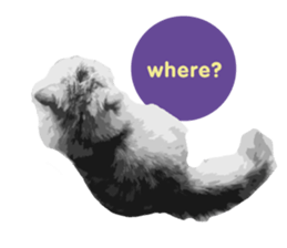 my sweet real cat sticker #13560477