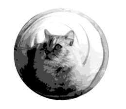 my sweet real cat sticker #13560481