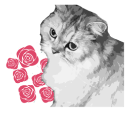 my sweet real cat sticker #13560482