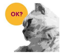 my sweet real cat sticker #13560483