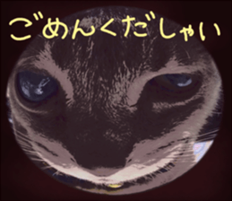 Comical cat. sticker #13561534