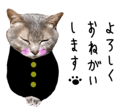 Comical cat. sticker #13561537