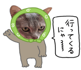 Comical cat. sticker #13561539