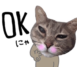 Comical cat. sticker #13561541