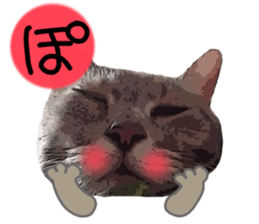 Comical cat. sticker #13561543