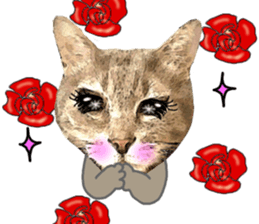 Comical cat. sticker #13561544