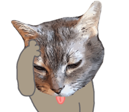 Comical cat. sticker #13561546