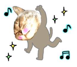 Comical cat. sticker #13561548