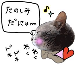 Comical cat. sticker #13561549