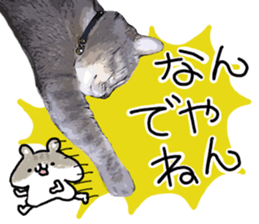 Comical cat. sticker #13561550