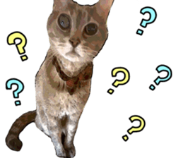 Comical cat. sticker #13561551