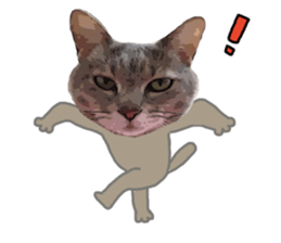 Comical cat. sticker #13561552