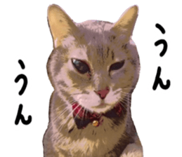 Comical cat. sticker #13561553