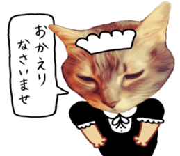 Comical cat. sticker #13561560