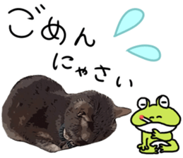 Comical cat. sticker #13561561