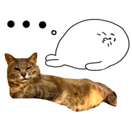 Comical cat. sticker #13561562