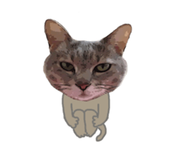 Comical cat. sticker #13561563