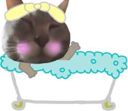 Comical cat. sticker #13561571