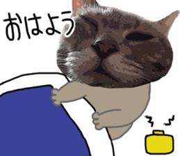 Comical cat. sticker #13561572