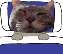 Comical cat. sticker #13561573