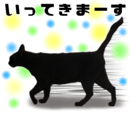 Cat of Takeuchi family sticker #13562256