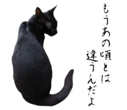 Cat of Takeuchi family sticker #13562279