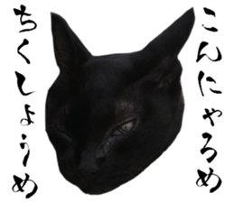 Cat of Takeuchi family sticker #13562293