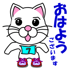 A white cat which does marathons