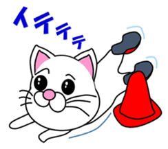 A white cat which does marathons sticker #13562377