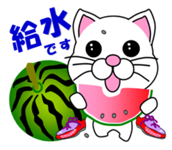 A white cat which does marathons sticker #13562383