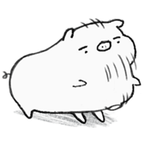 White pig shiboo 3 sticker #13562621