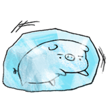 White pig shiboo 3 sticker #13562629